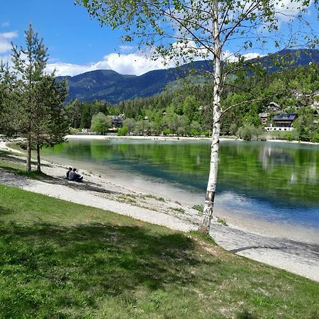 Les Chalet Kranjska Gora I 外观 照片