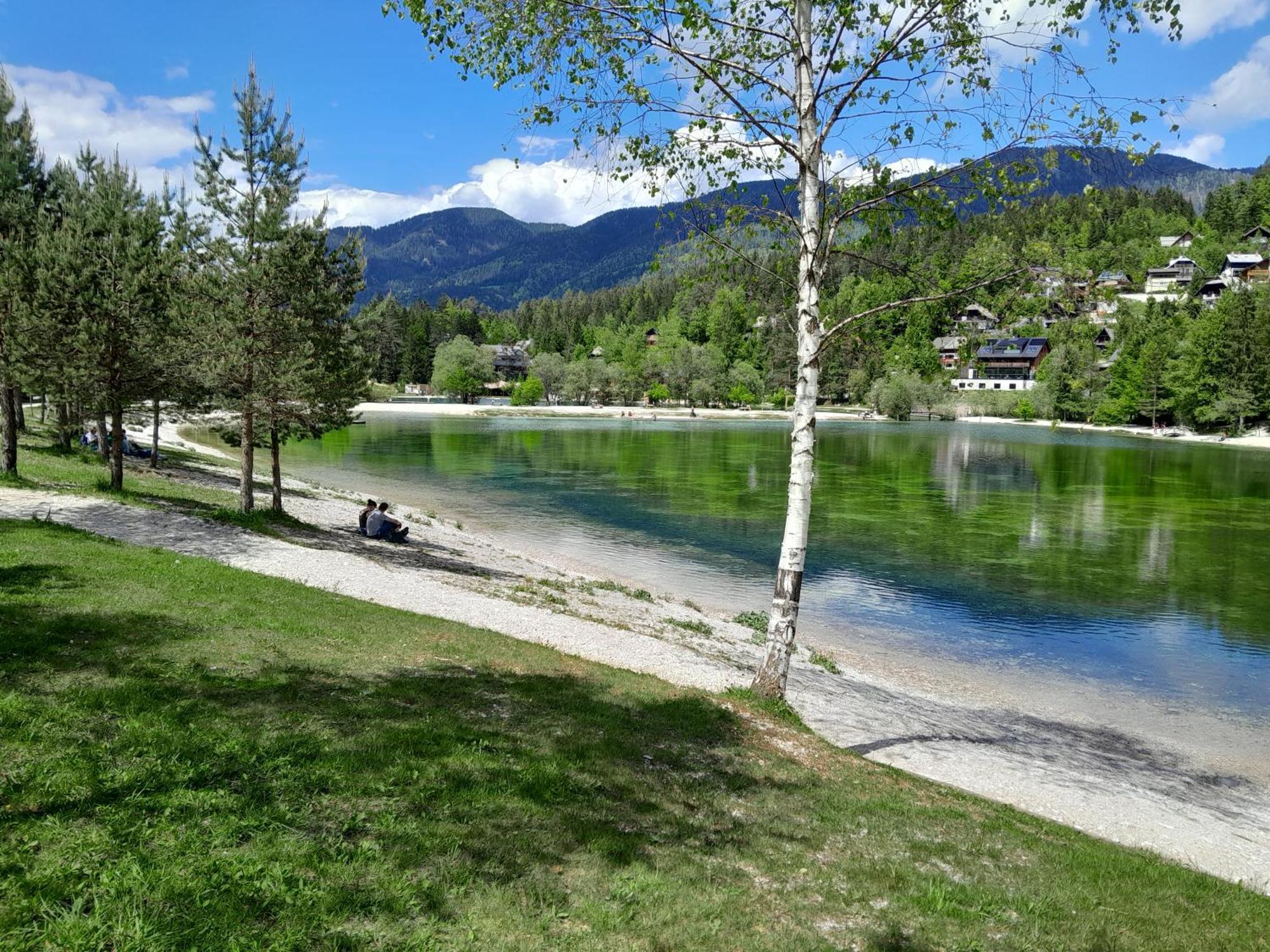 Les Chalet Kranjska Gora I 外观 照片